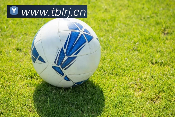 辅助工具 辅助工具